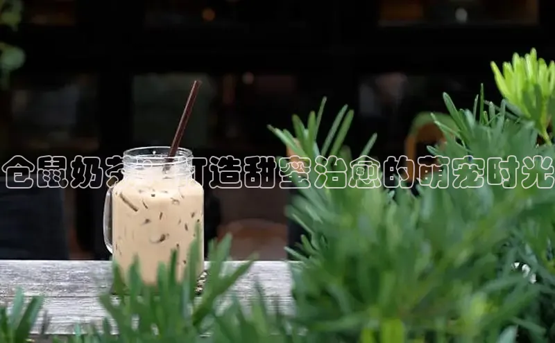 熊猫足球直播金山办公