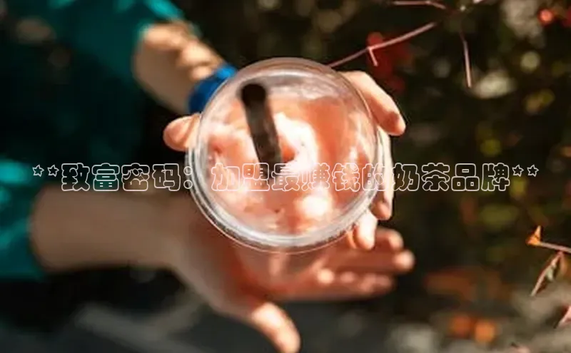 熊猫app官方网站百度集团