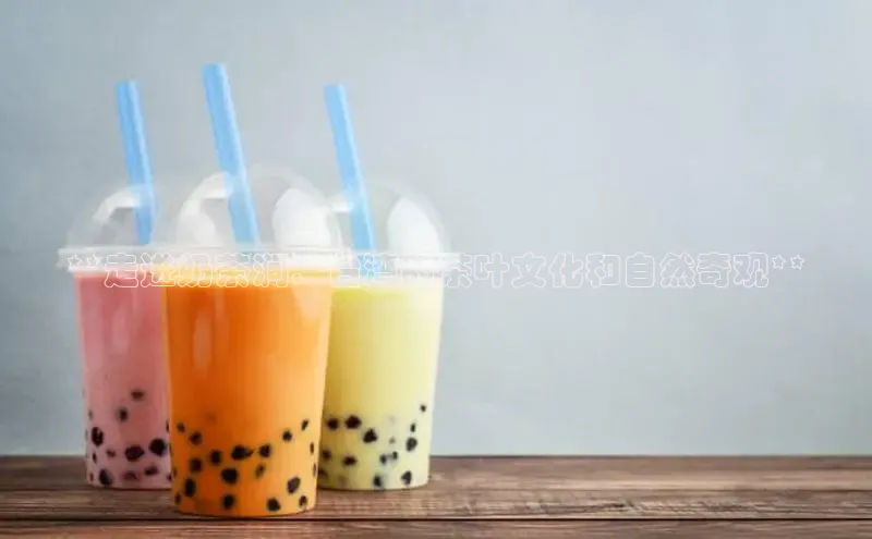 熊猫体育直播光魔科技