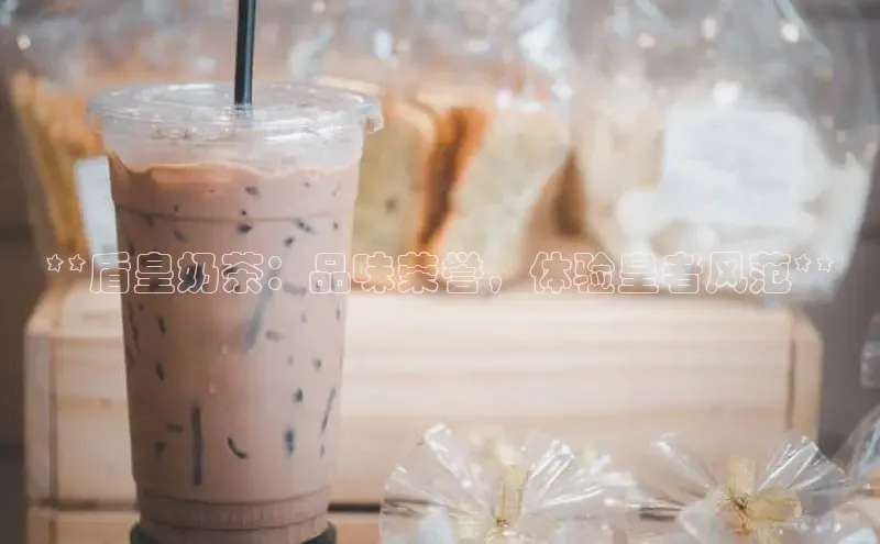 熊猫app下载文心一言