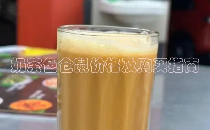 熊猫体育足球直播app阿里尔公司