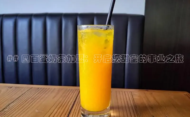 熊猫app官方网站百度手机输入法