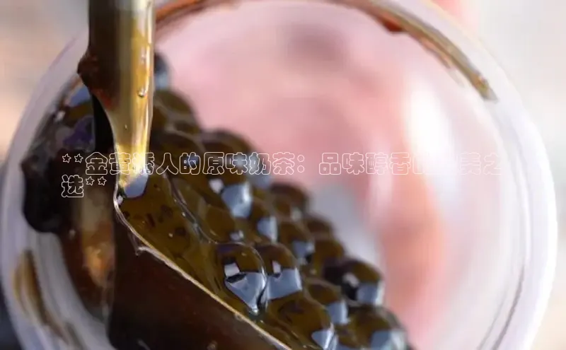 熊猫app下载文心一言